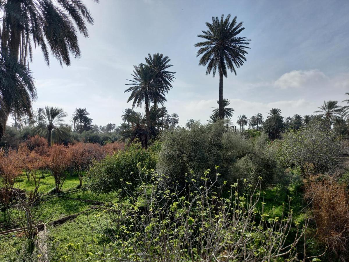 فندق Dar Seddik قفصة المظهر الخارجي الصورة