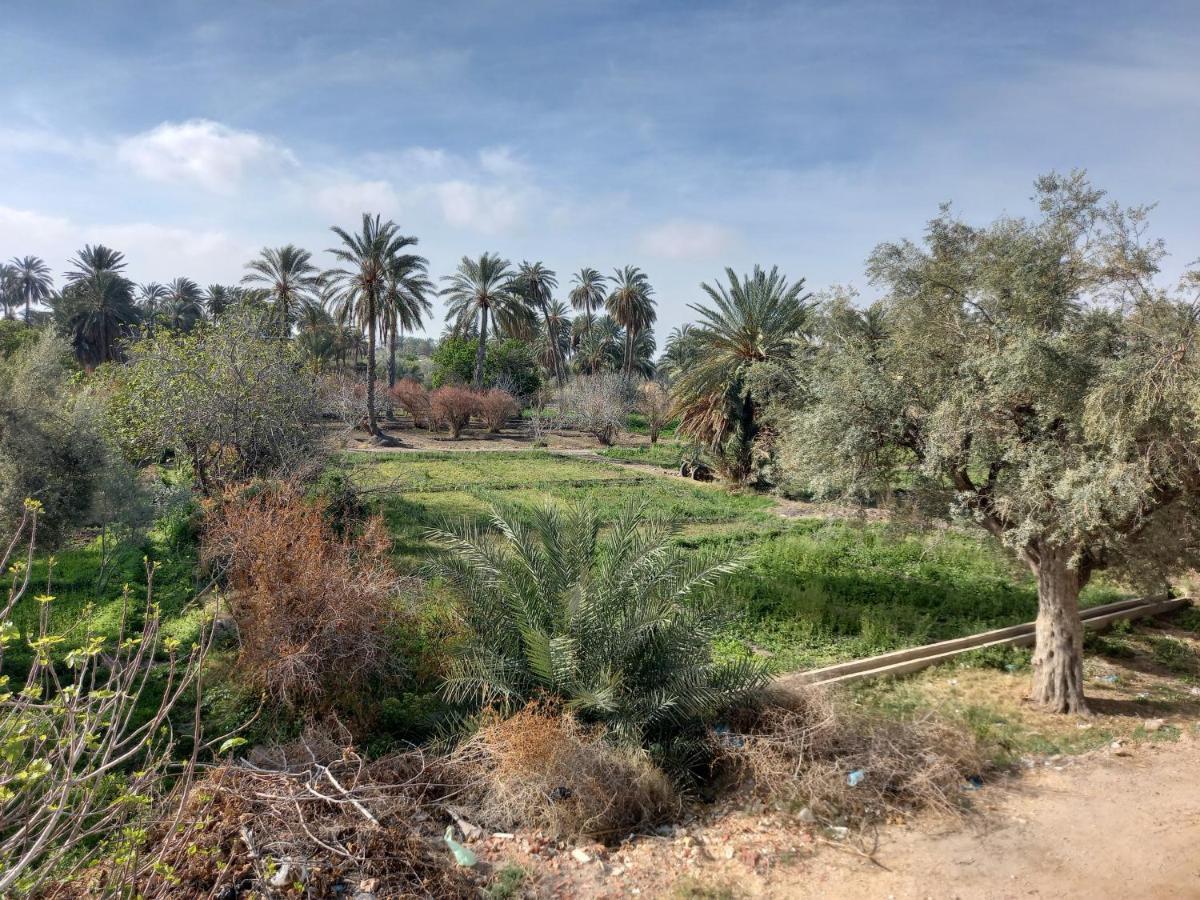 فندق Dar Seddik قفصة المظهر الخارجي الصورة