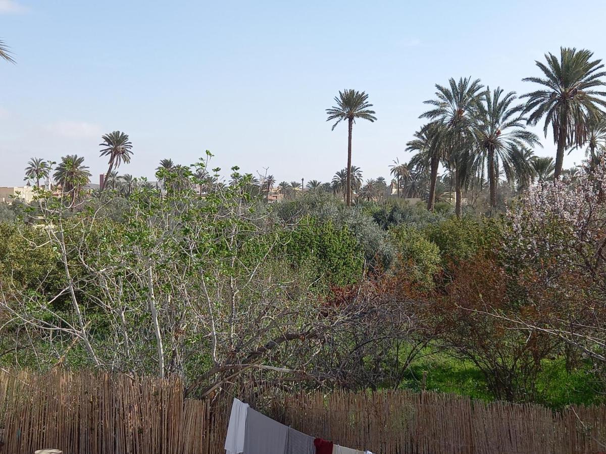فندق Dar Seddik قفصة المظهر الخارجي الصورة